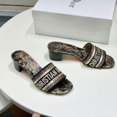 Christian Dior Slippers